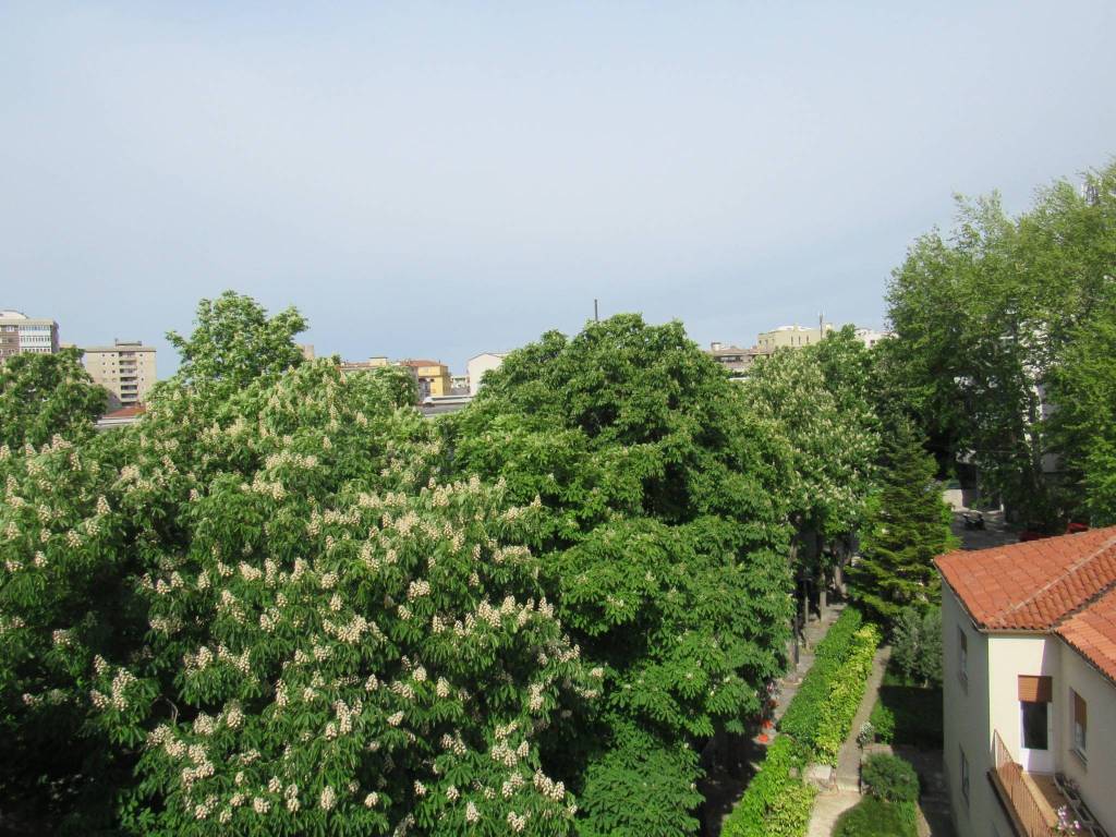 Appartamento a Trieste in Via Domenico Rossetti, 84 - Foto 3