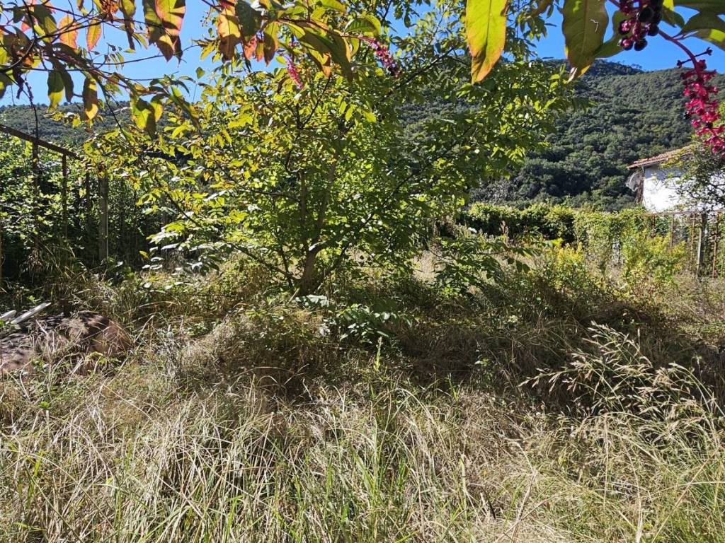 Villa a Ortovero in Via Lunghi Scarella, 1 - Foto 4