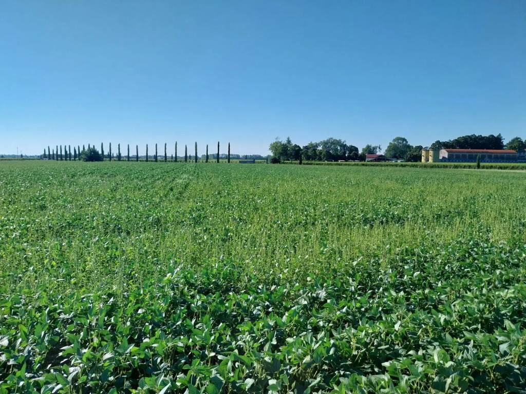 Terreno a Chiopris-viscone in Via Selvina - Foto 2
