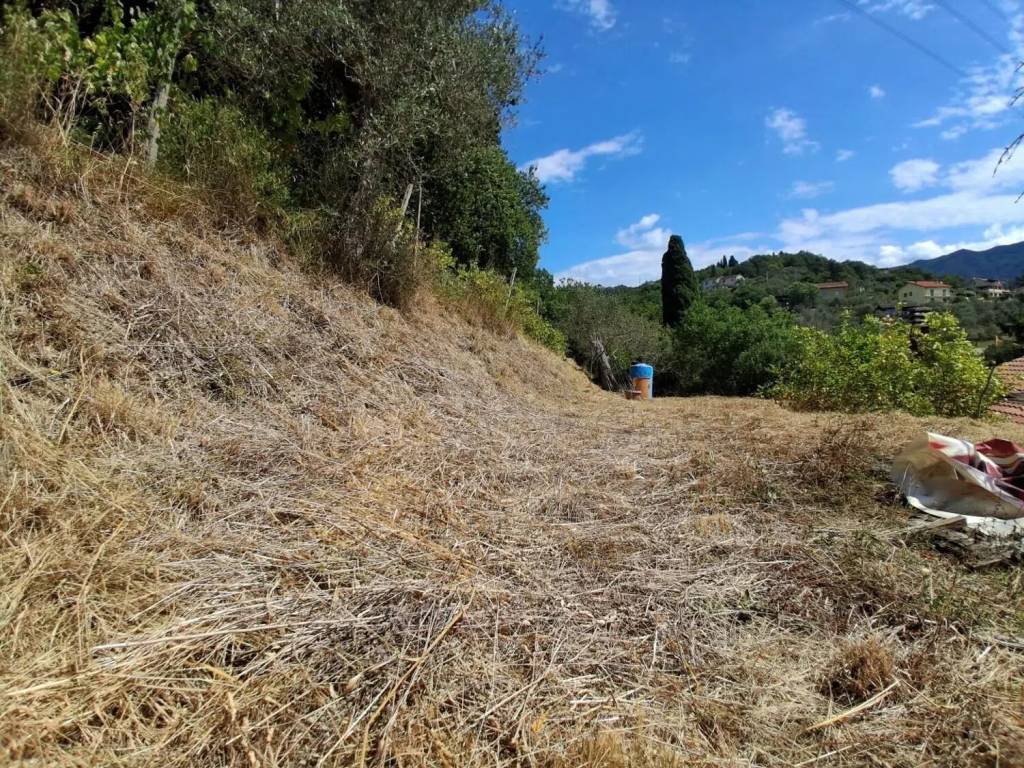 Villa a Sarzana in Via Navonella - Foto 3