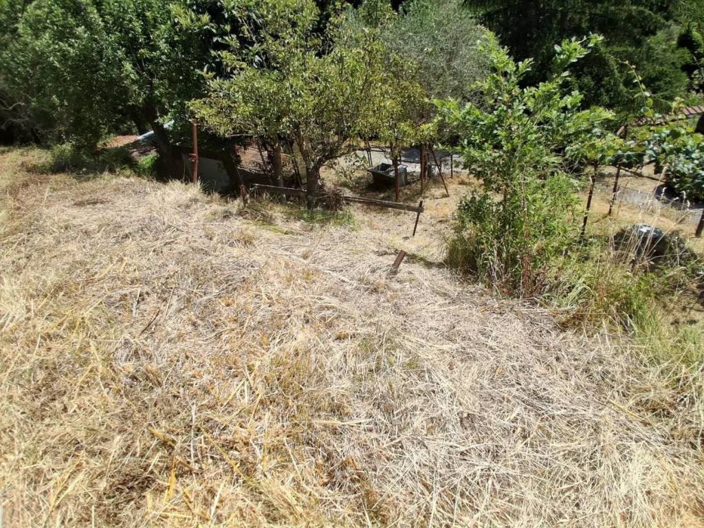 Villa a Sarzana in Via Navonella - Foto 4