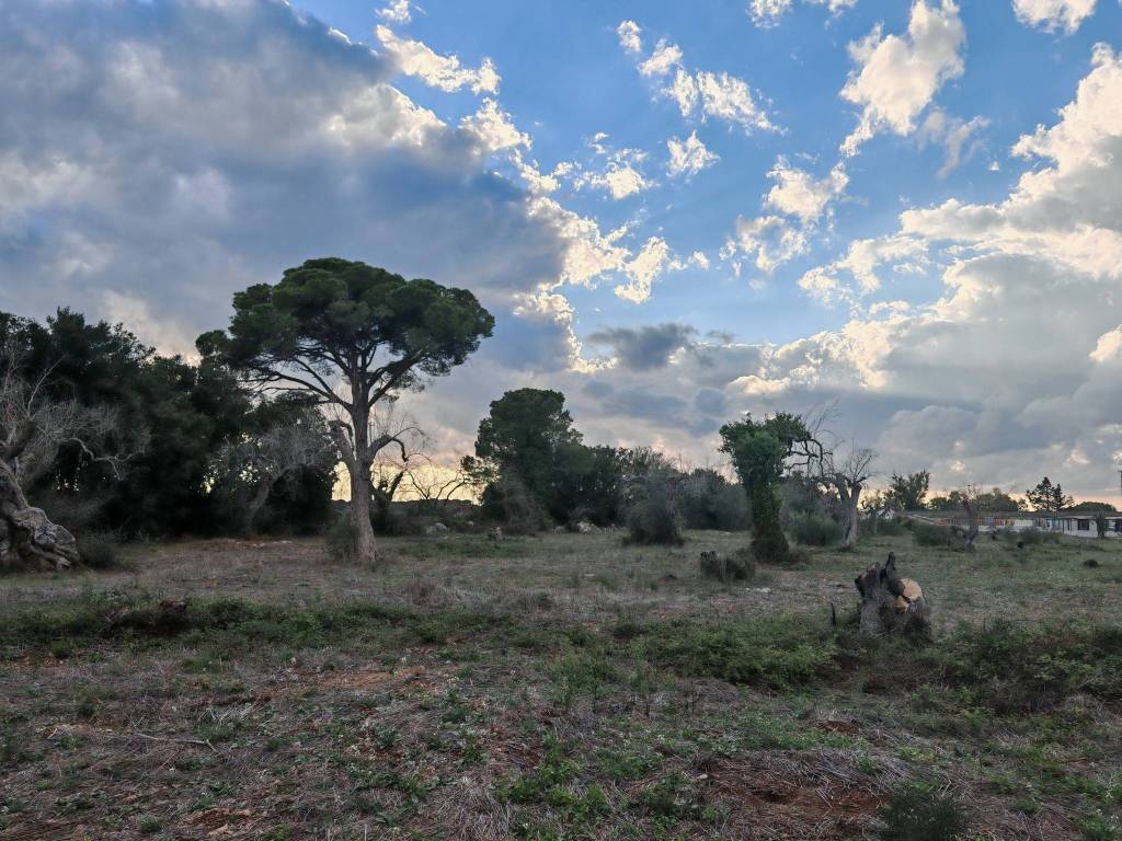 Terreno a Muro leccese in Via Malta - Foto 3
