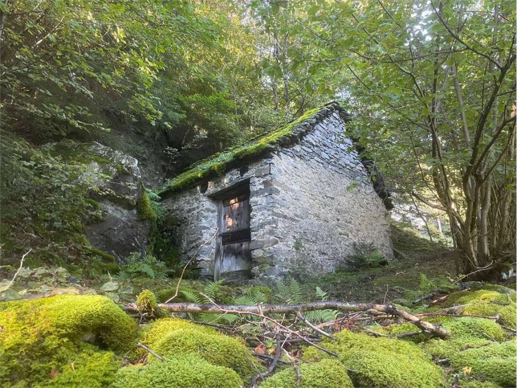 Rustico / casale a Crodo in alpe longio - Foto 4