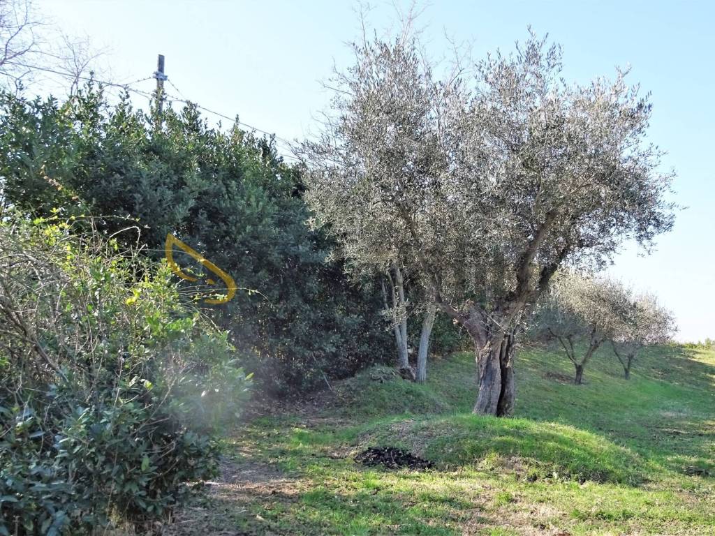 Terreno a Senigallia - Foto 2