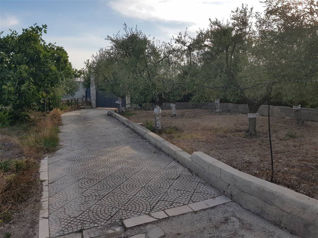 Casa indipendente a Barletta - Foto 2