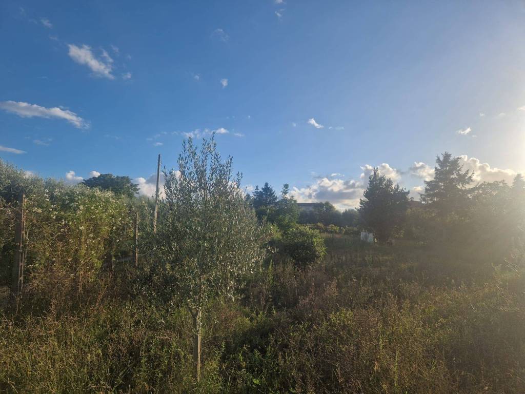 Terreno a Ciampino in Via degli Uliveti - Foto 5