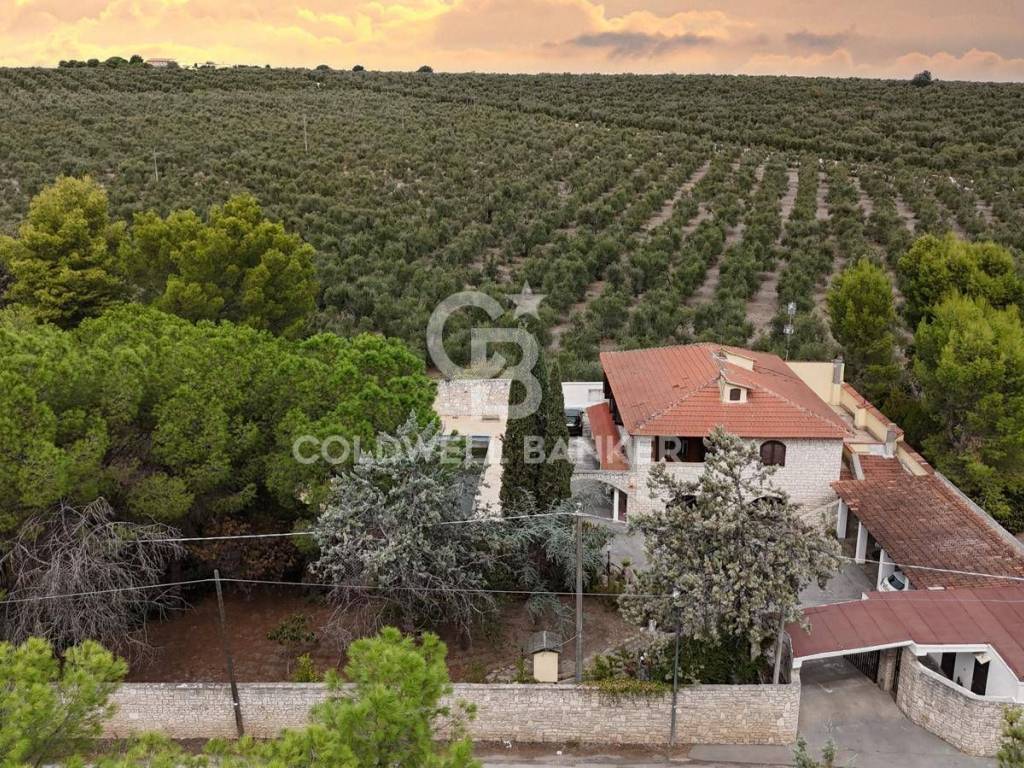 Villa a Andria in Contrada Abbondanza - Viale Delle Mimose - Foto 2