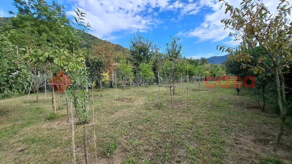 Terreno a Castel san giorgio in Via Chiumariello, snc - Foto 5