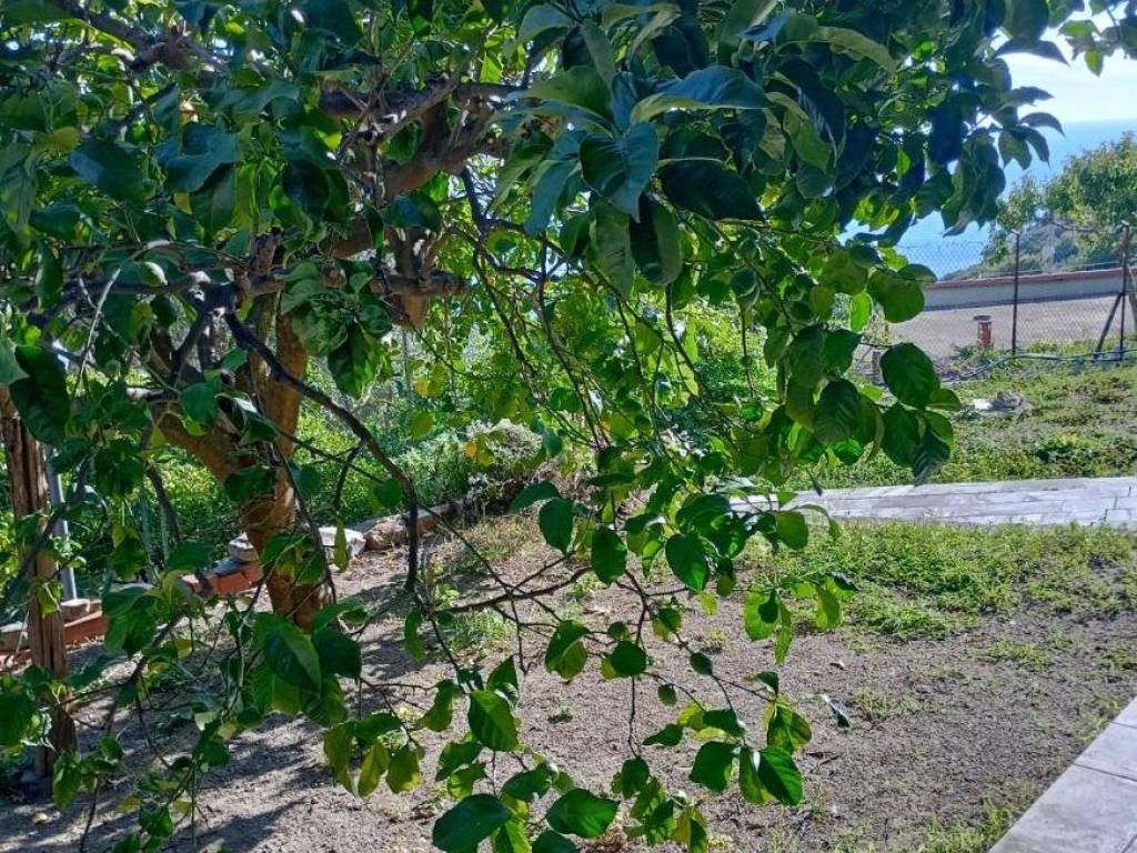 Appartamento a Framura in Setta - Foto 5