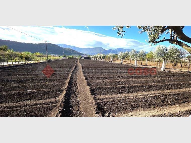 Terreno a Nocera inferiore in Via Carrara d'Amora, 14 - Foto 3