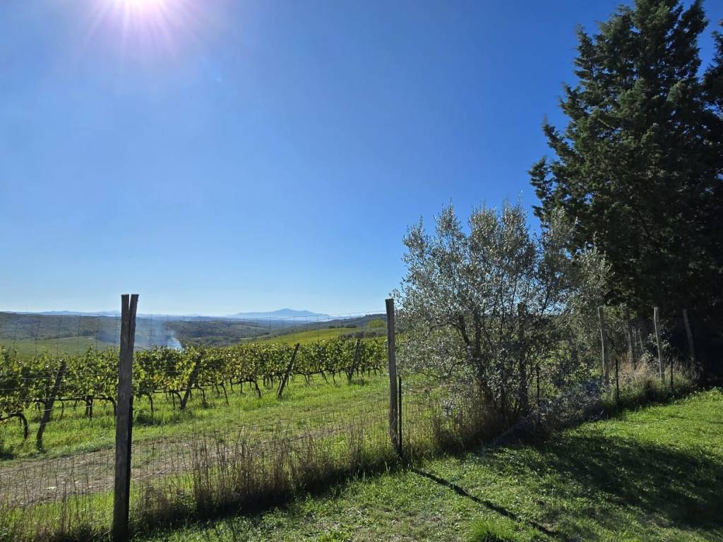 Appartamento a Gaiole in chianti in Via della Libertà - Foto 4