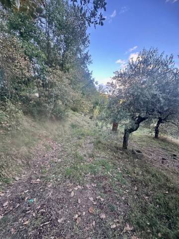 Terreno a Alatri in Via Monte Passeggio - Foto 2