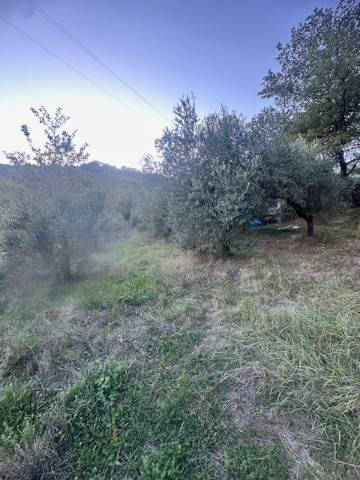 Terreno a Alatri in Via Monte Passeggio - Foto 4