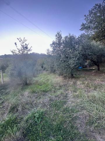 Terreno a Alatri in Via Monte Passeggio - Foto 5