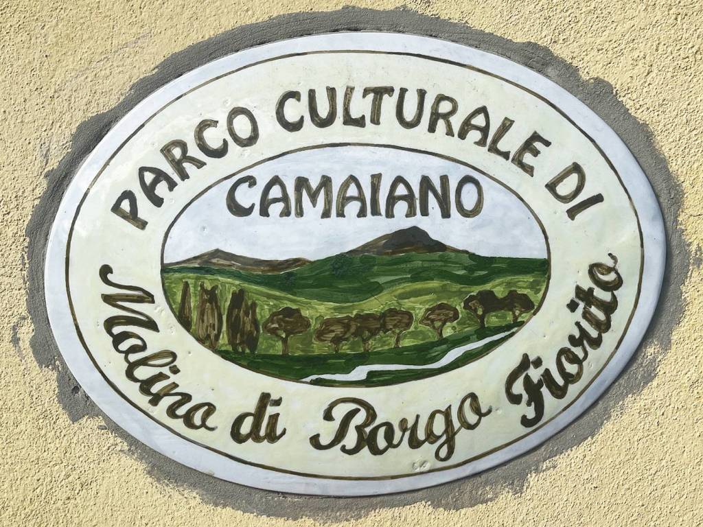 Rustico / casale a Rosignano marittimo in Località Chiappino, 116 - Foto 3