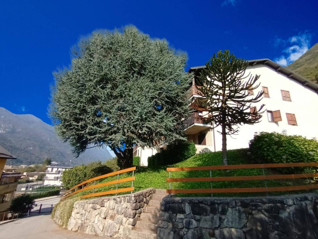 Appartamento a Primaluna in Via Provinciale - Foto 2