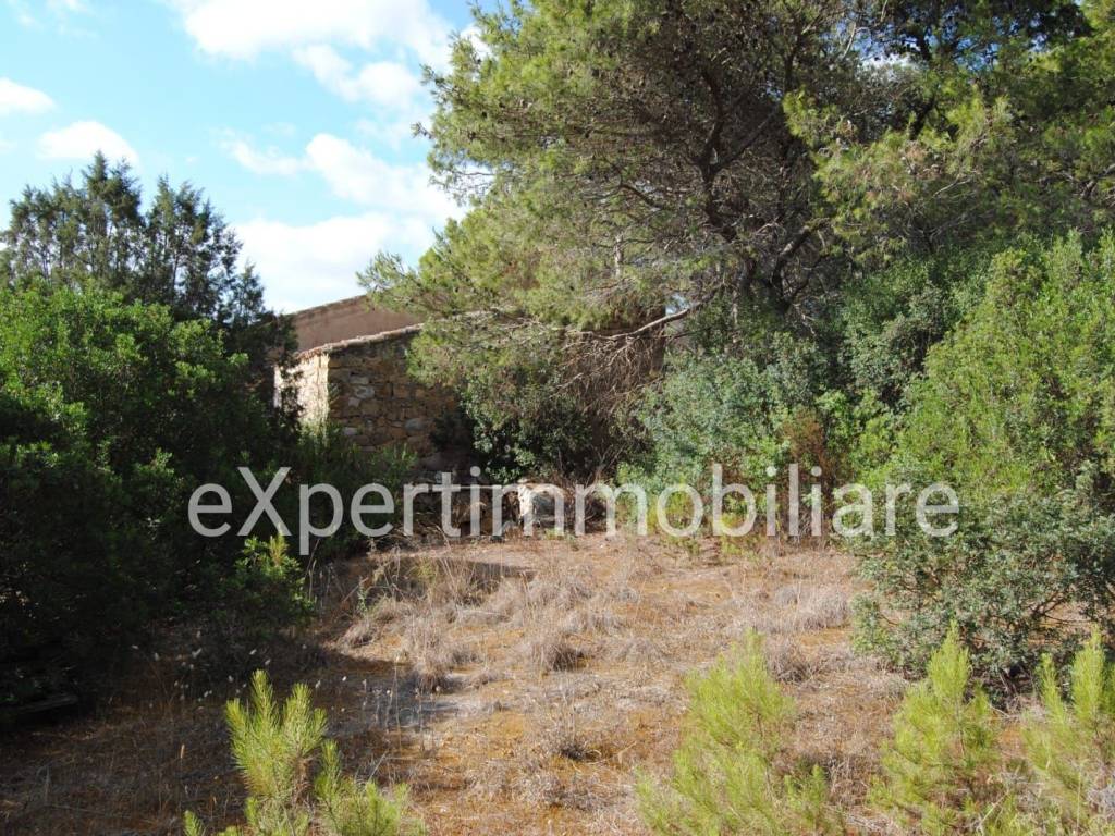 Rustico / casale a Carloforte in Località Punta Nera - Foto 3