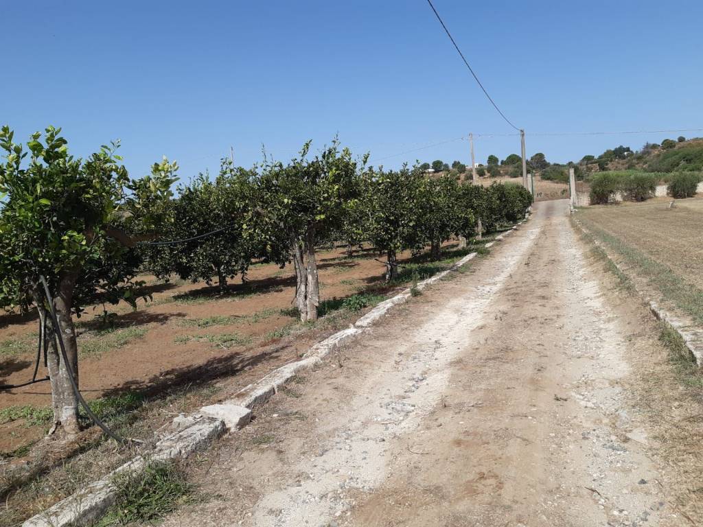 Villa a Caltagirone in Contrada Albanazzo - Foto 2
