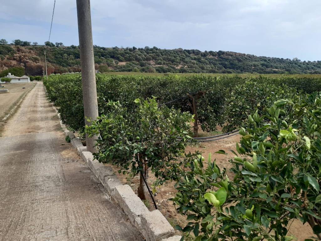 Villa a Caltagirone in Contrada Albanazzo - Foto 5