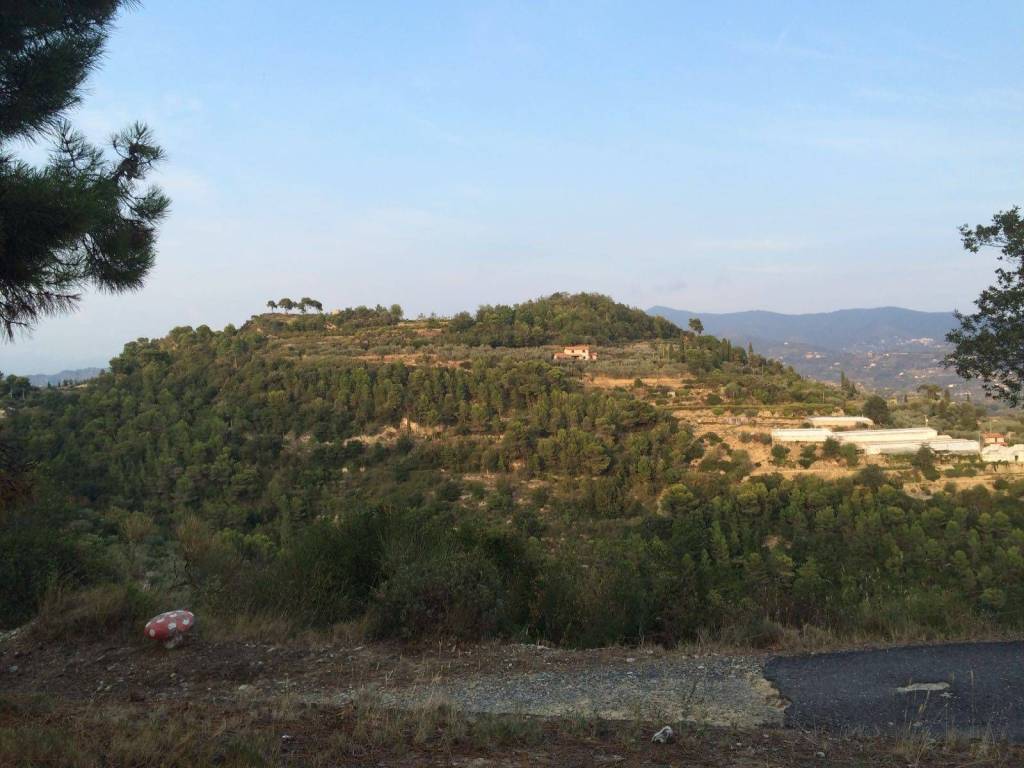 Terreno a Camporosso - Foto 2