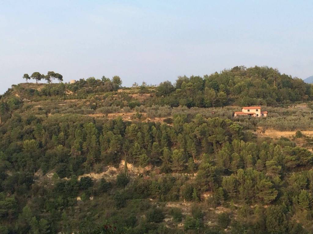 Terreno a Camporosso - Foto 3
