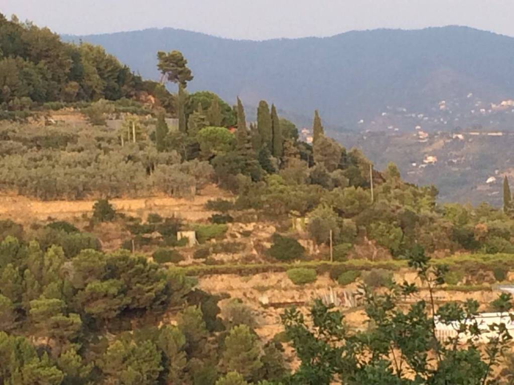 Terreno a Camporosso - Foto 4