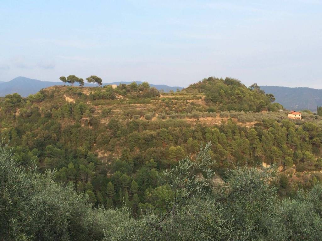 Terreno a Camporosso - Foto 5