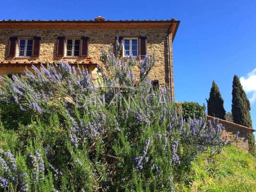 Rustico / casale a Chianni - Foto 4