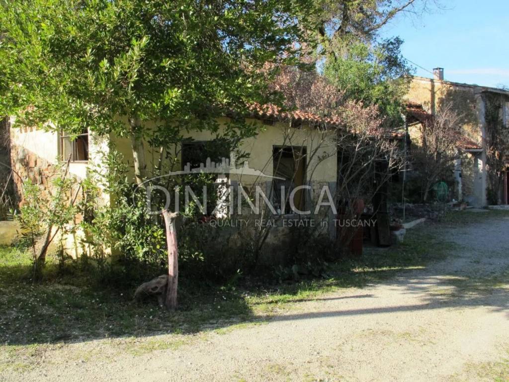 Rustico / casale a Chianni - Foto 5