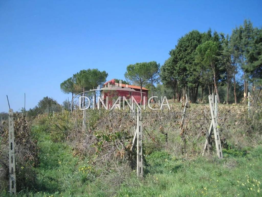 Rustico / casale a Peccioli - Foto 2