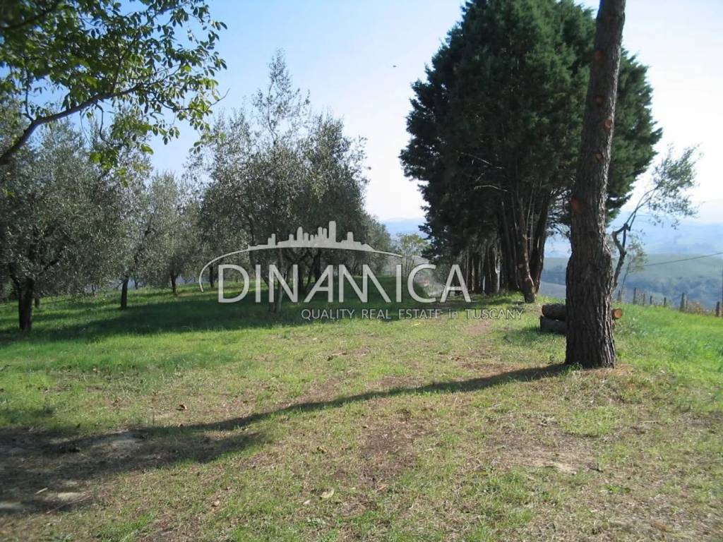 Rustico / casale a Peccioli - Foto 5