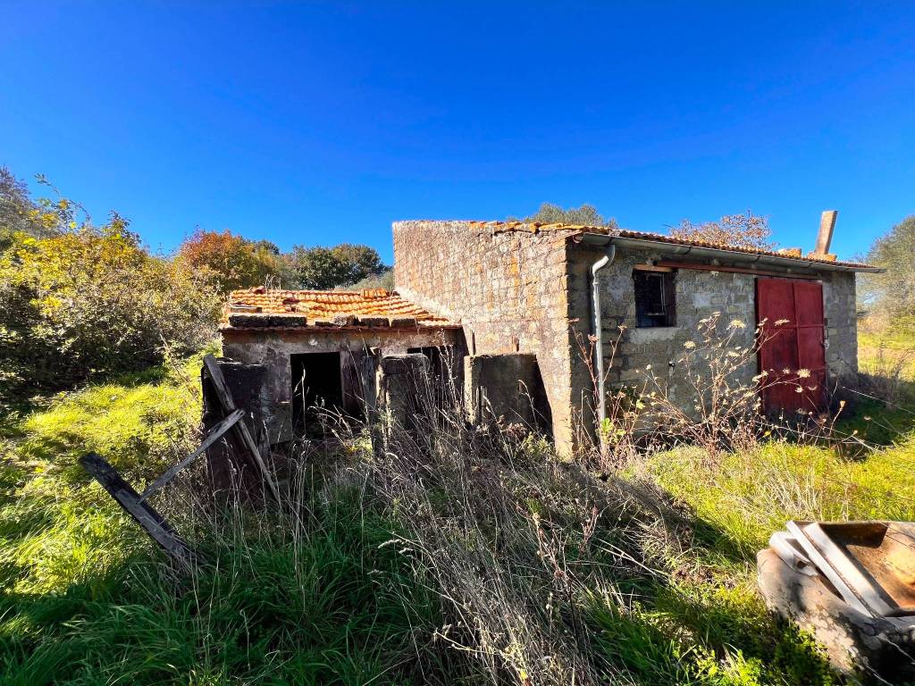 Terreno a Capodimonte in Strada Comunale Valentano-Capodimonte - Foto 2