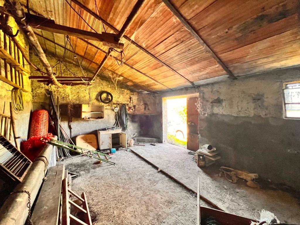 Terreno a Capodimonte in Strada Comunale Valentano-Capodimonte - Foto 3