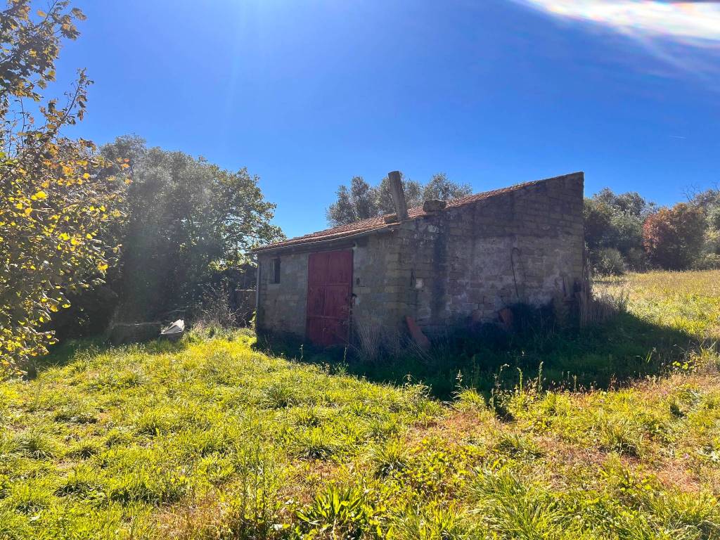 Terreno a Capodimonte in Strada Comunale Valentano-Capodimonte - Foto 5