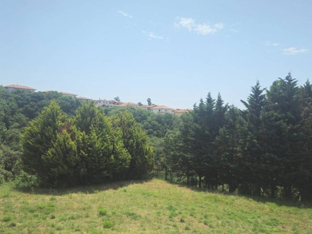 Villa a Marcellinara in Viale via C. A. Della Chiesa snc - Foto 2