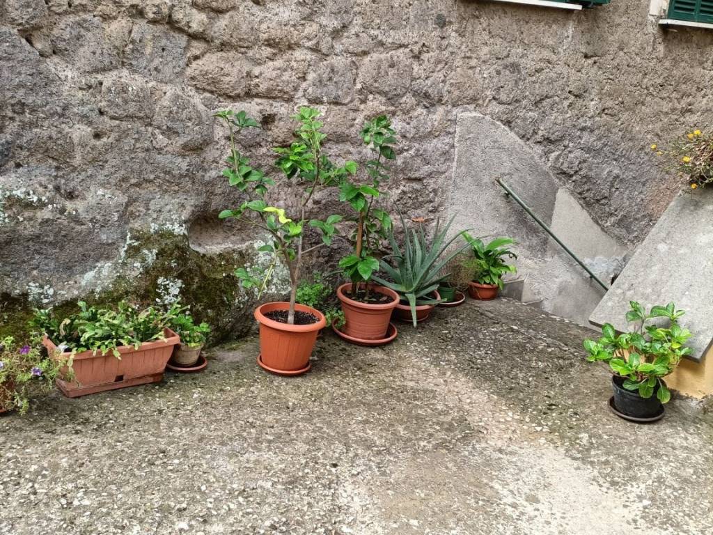 Appartamento a Vignanello in Via dell'Ospedale, 36 - Foto 2