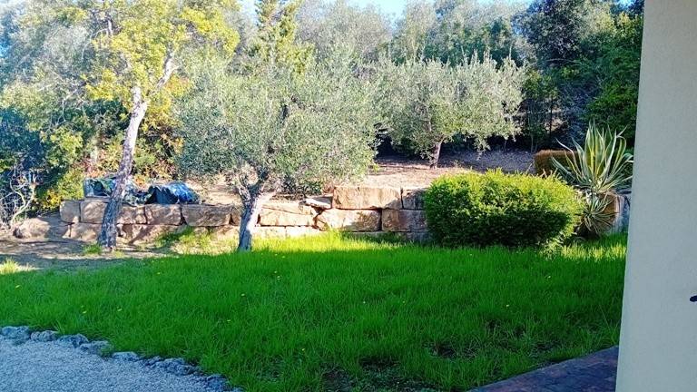 Appartamento a Capalbio in Via Giovanni Pascoli, 17 - Foto 2
