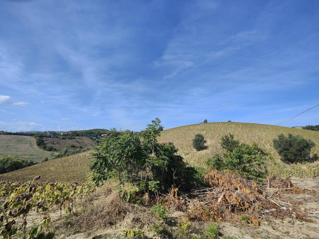 Terreno a Acquaviva picena in Contrada Forola - Foto 2
