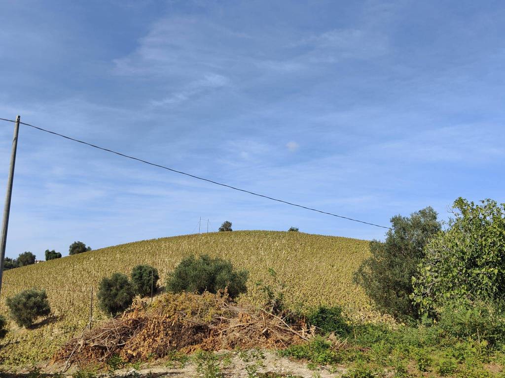 Terreno a Acquaviva picena in Contrada Forola - Foto 4
