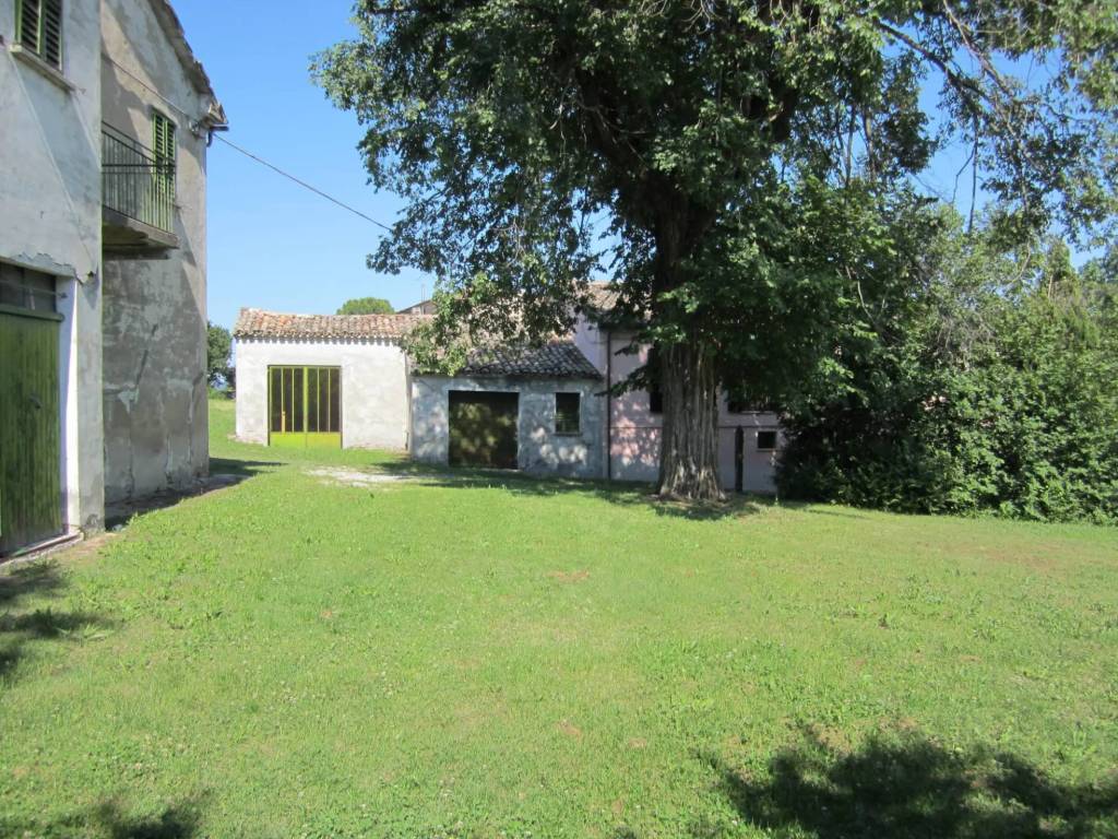 Rustico / casale a Mondavio in Contrada Pianaccio - Foto 5