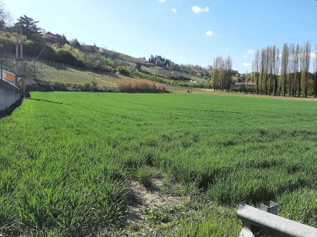 Terreno a Canelli in Regione Monforte - Foto 2