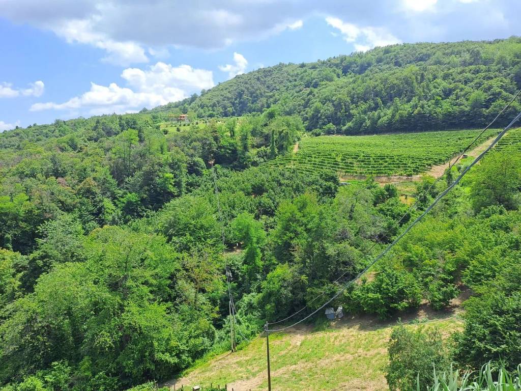 Terreno a Cessole in Regione Scaliti - Foto 5