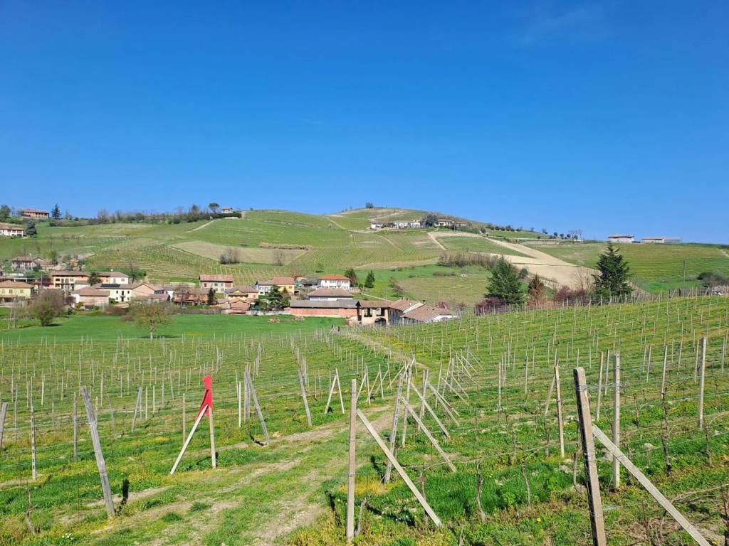 Terreno a Calamandrana in Via Provinciale - Foto 2