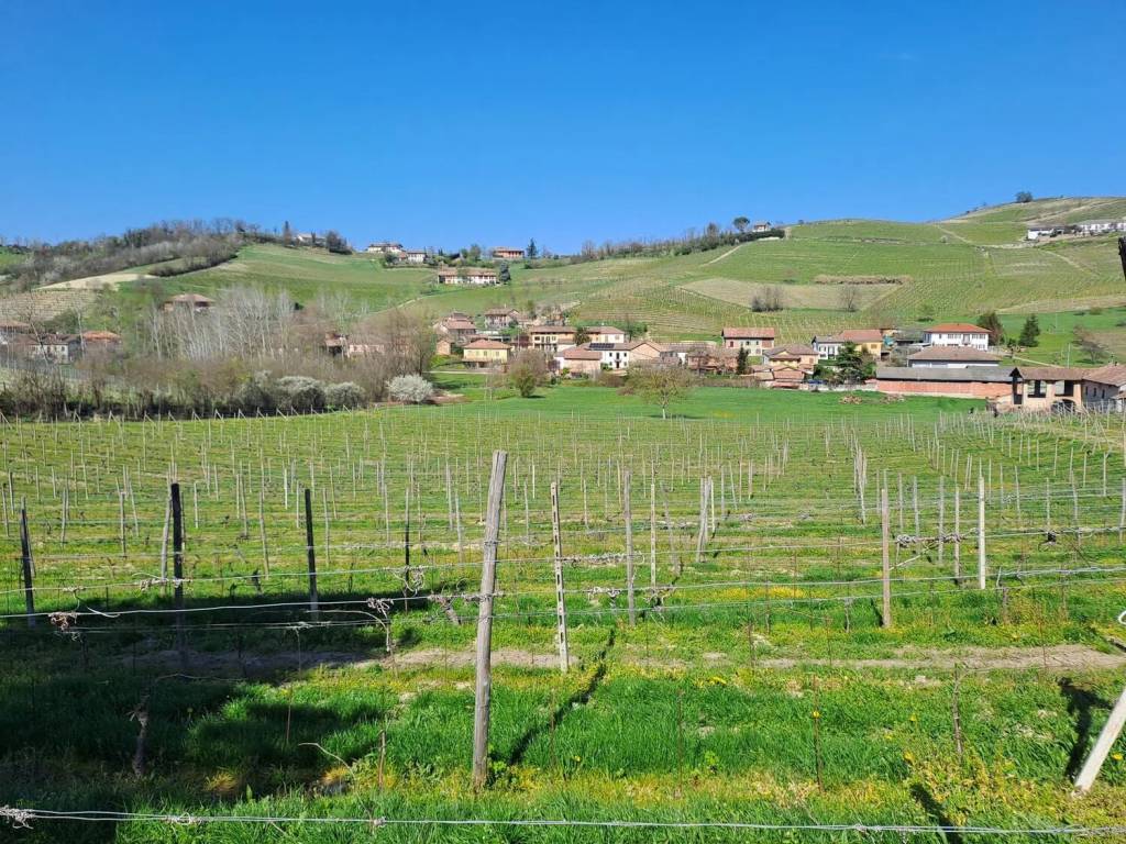 Terreno a Calamandrana in Via Provinciale - Foto 3