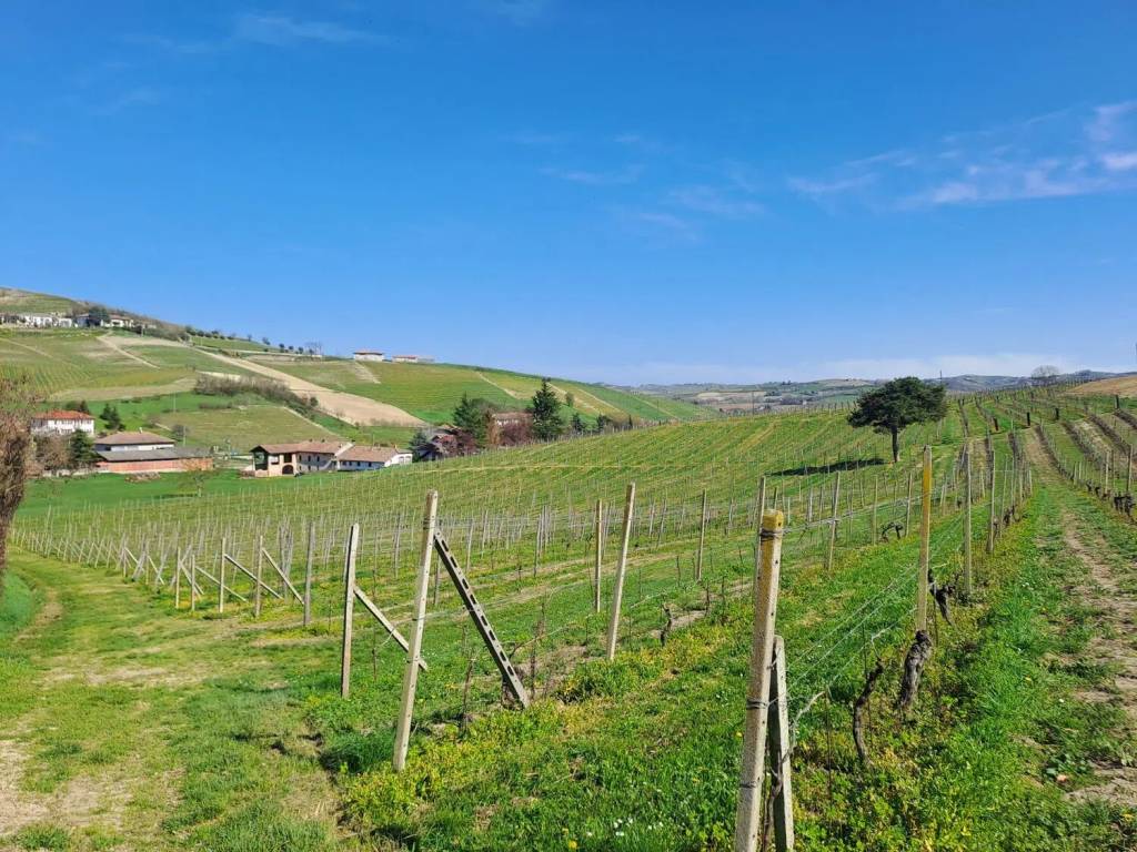 Terreno a Calamandrana in Via Provinciale - Foto 4