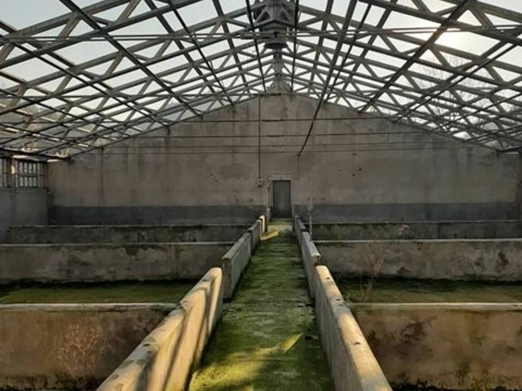 Immobile a Canelli in Viale Sp42 - Foto 4