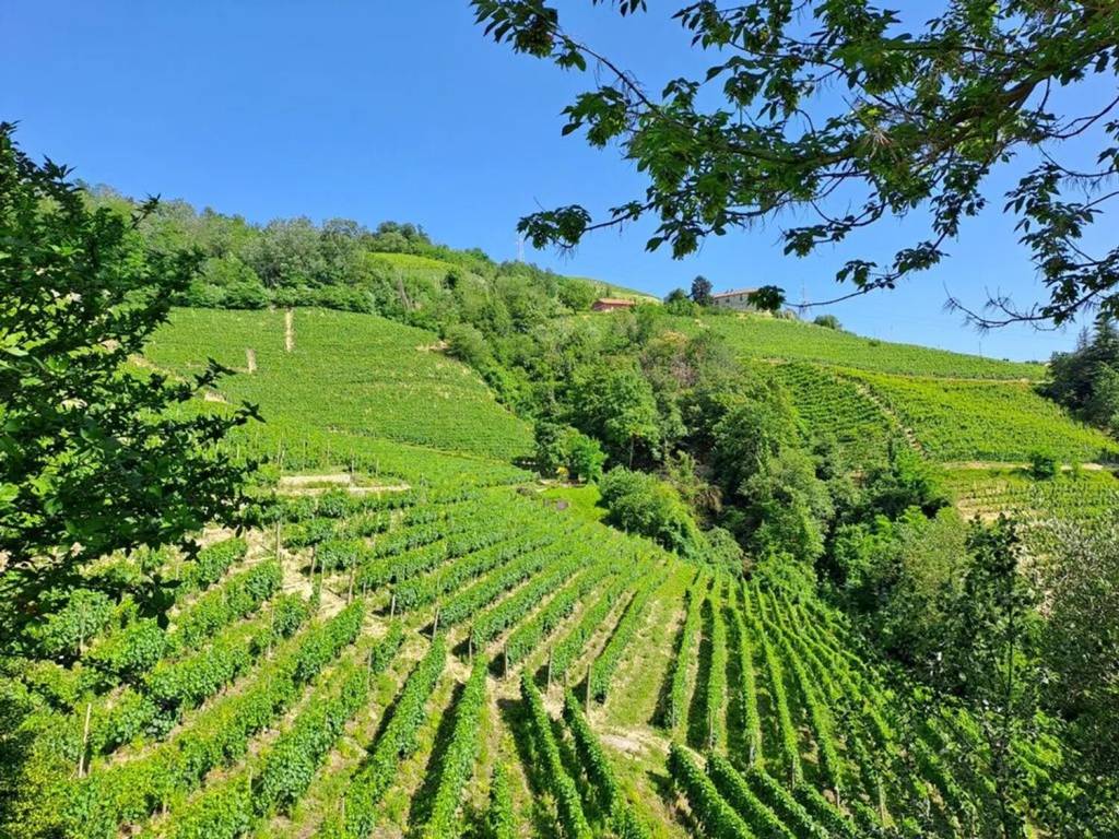 Villa a Santo stefano belbo - Foto 2