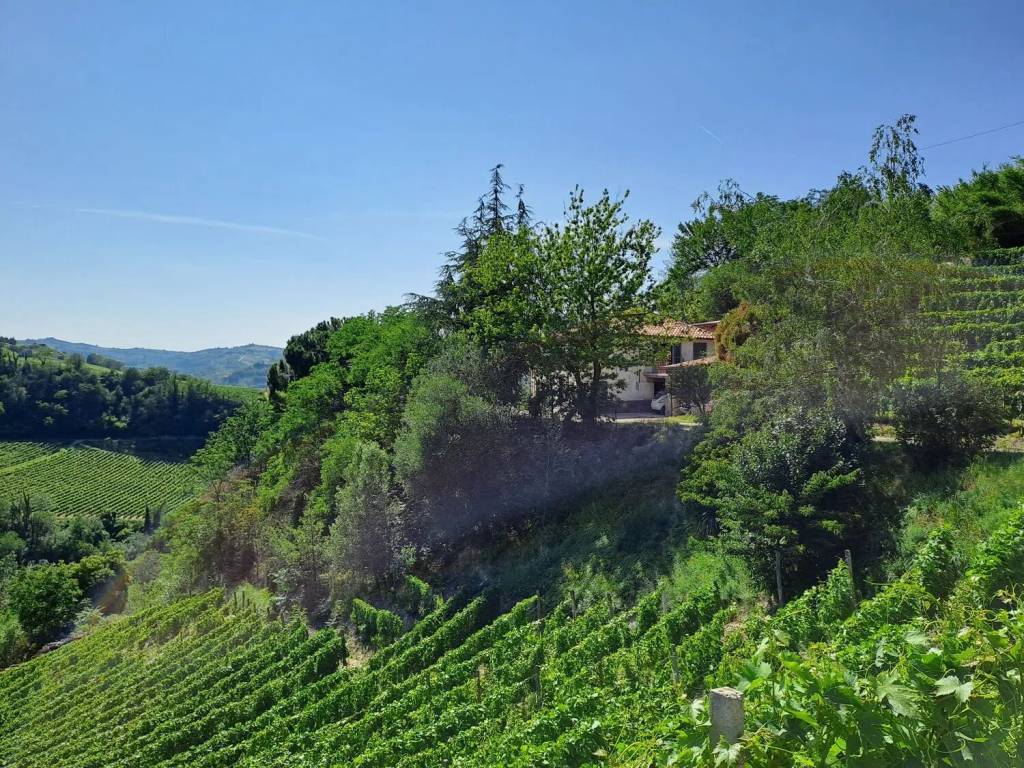 Villa a Santo stefano belbo - Foto 3