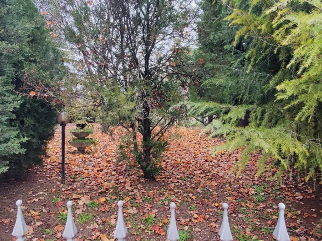 Villa a Treia - Foto 4