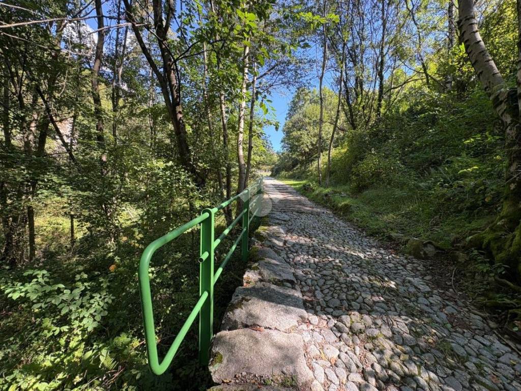 Rustico / casale a Dazio in Torchi bianchi - Foto 3